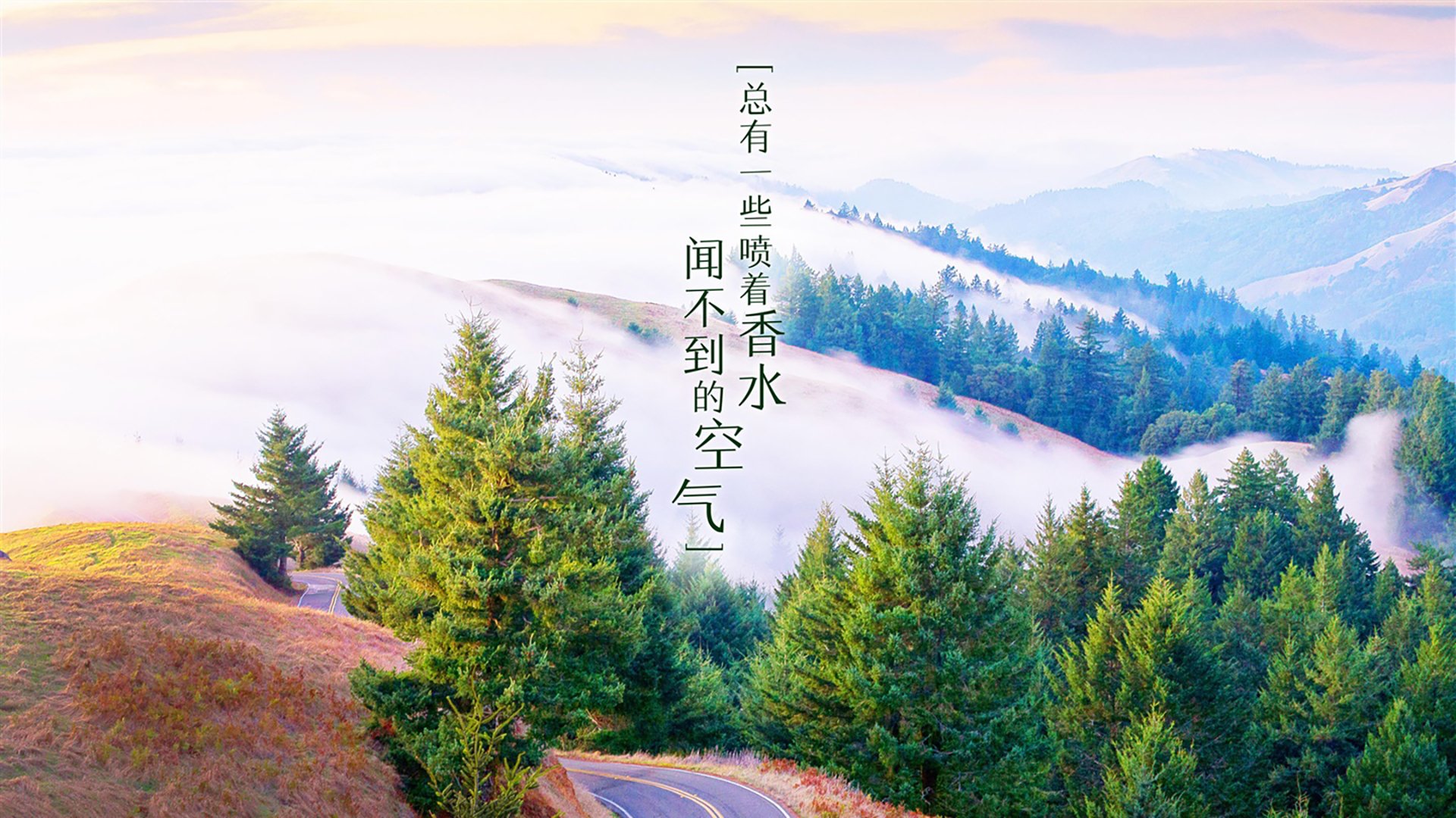 _勇士三分如雨，场场火花四溅_，勇士三分庆祝动作