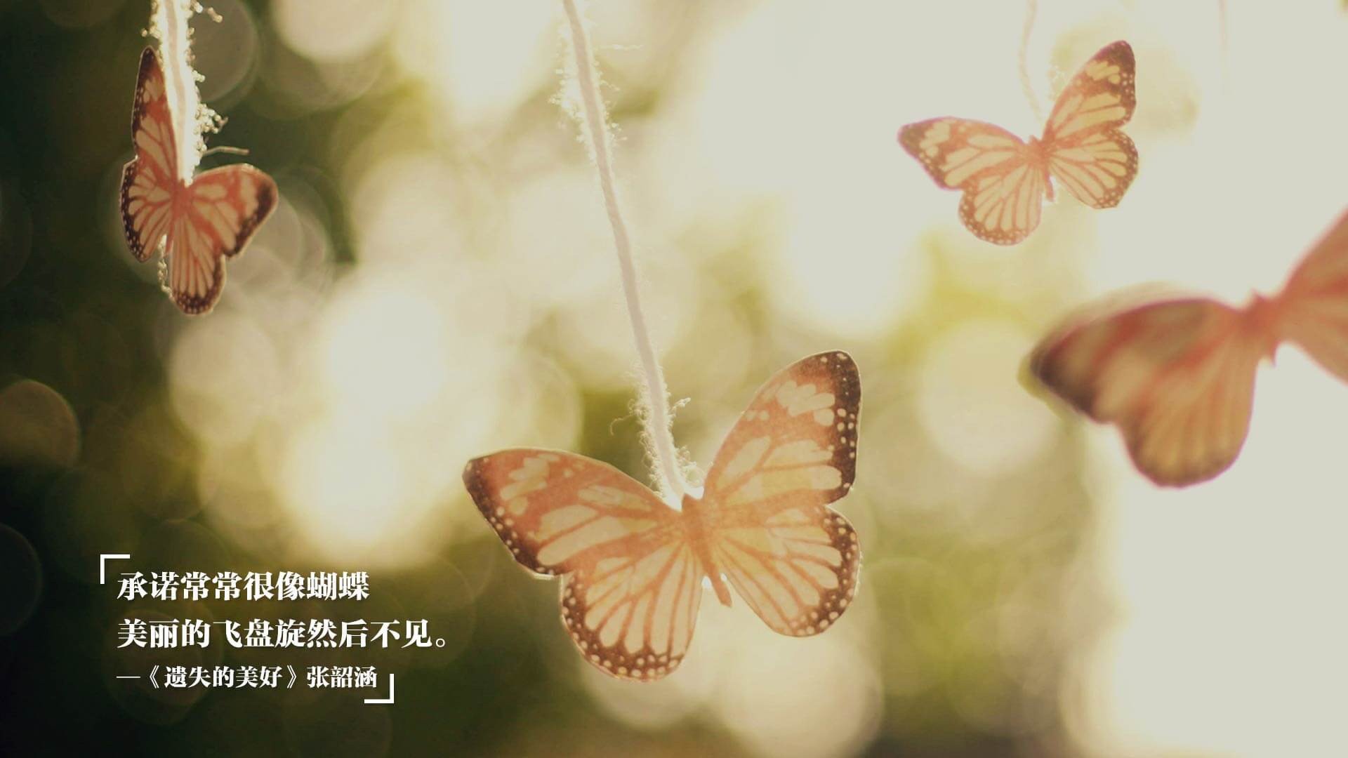 曼城引强援稳固阵容，争冠步伐稳中有进，曼城今夏引援