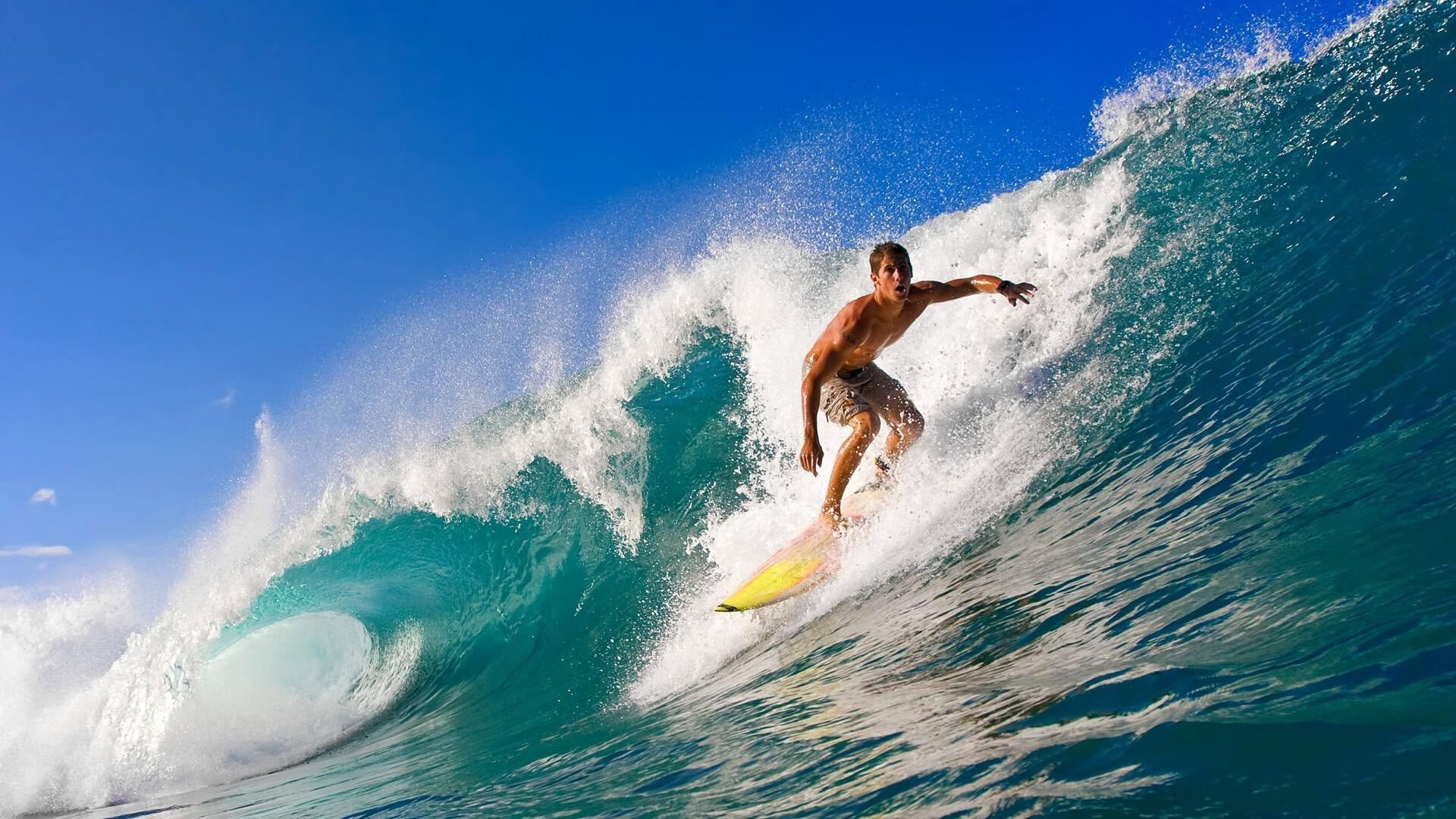 女子中长距离策略得当 节奏出色，女子中长跑有哪些项目