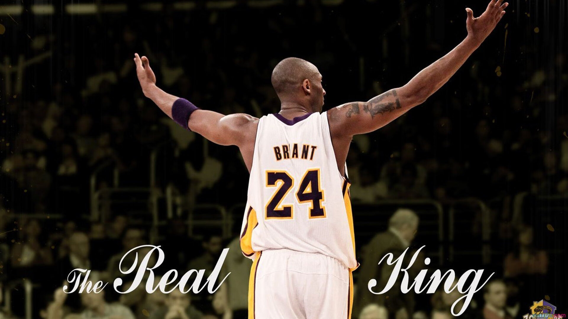 选手退役后加入教练组继续为战队出力，教练都是退役的运动员