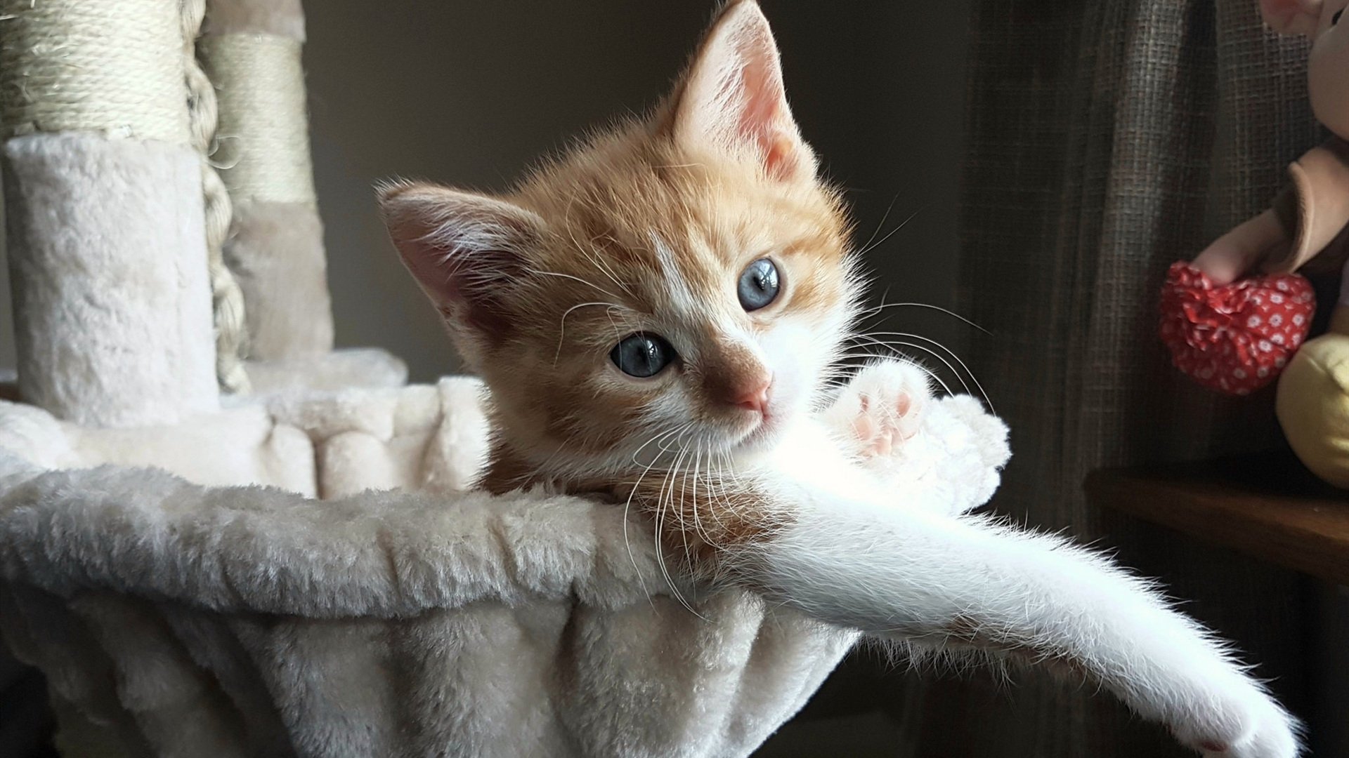 开云网址-冬季两项比赛：滑雪射击缘何魅力无限，冬季两项滑雪射击有团体赛吗